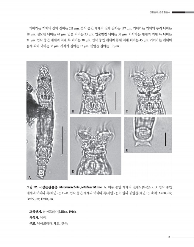51페이지