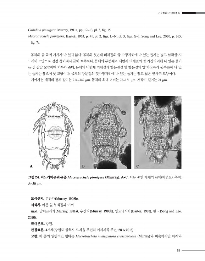 53페이지
