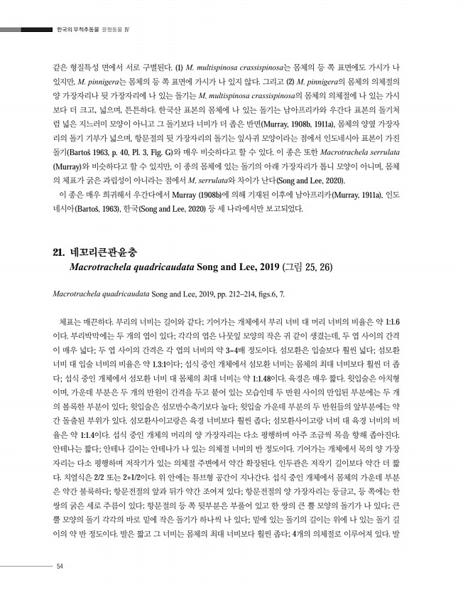 54페이지