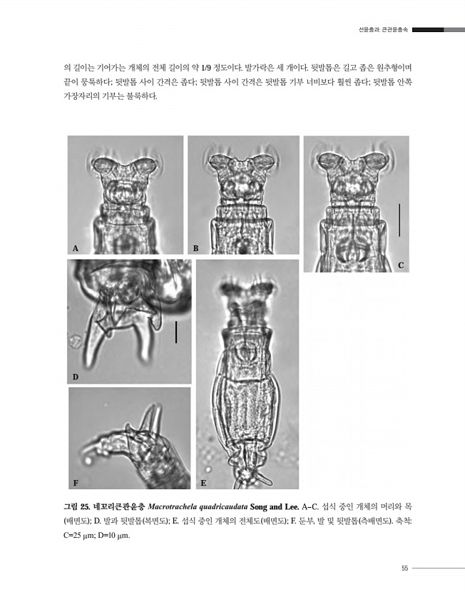 55페이지