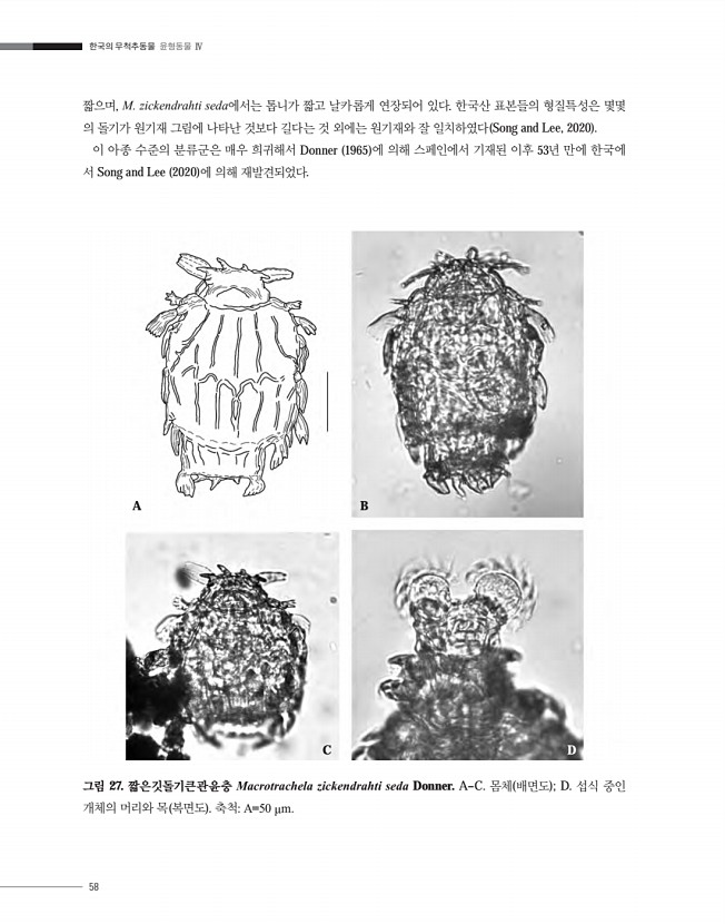 58페이지