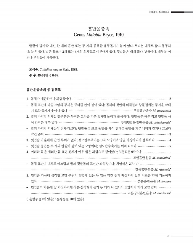 59페이지