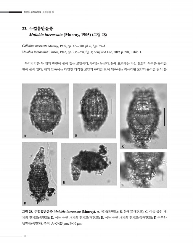 60페이지