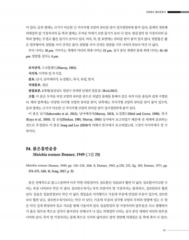 61페이지