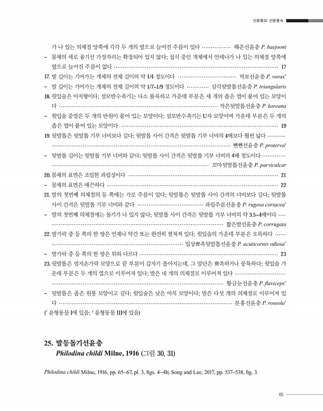 65페이지