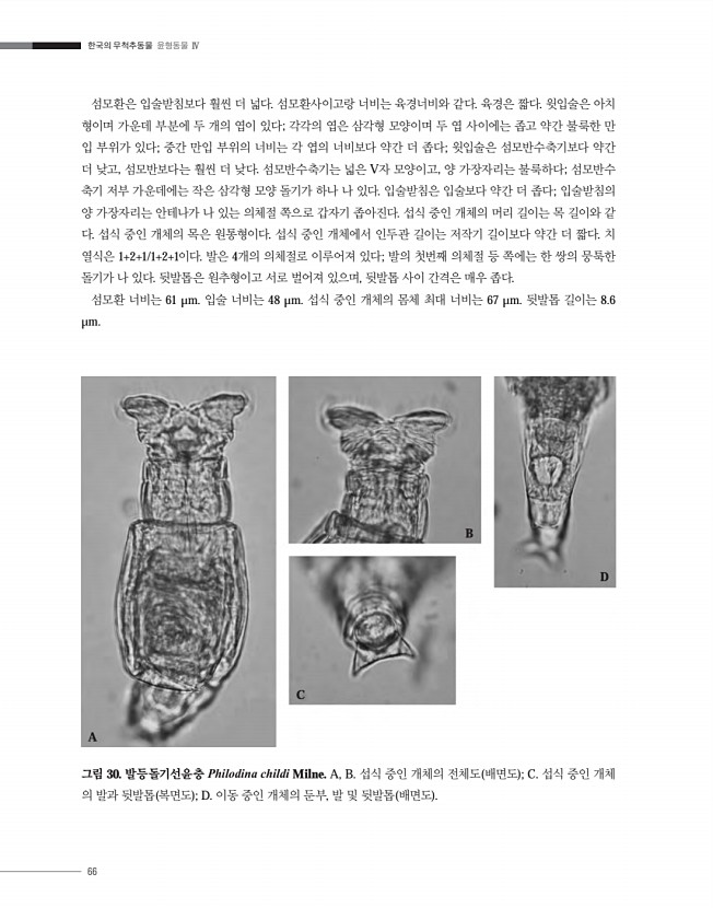 66페이지
