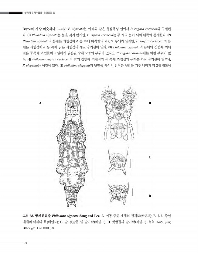 70페이지