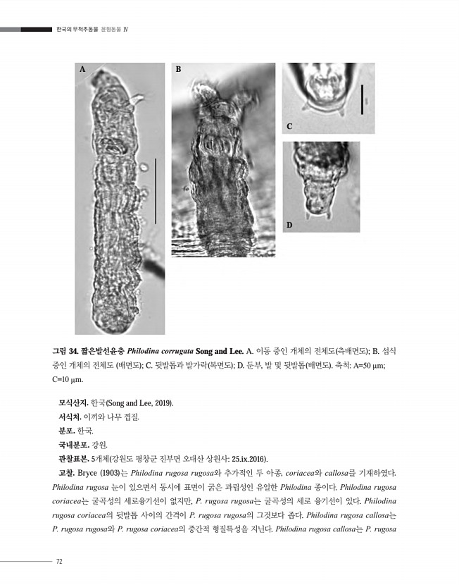 72페이지