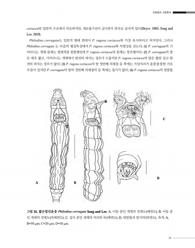 73페이지