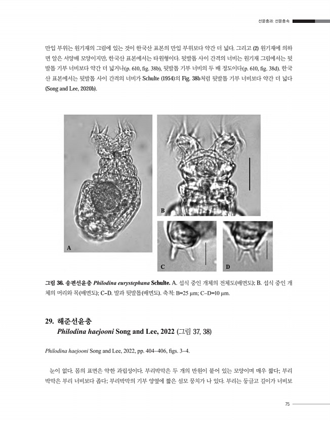75페이지