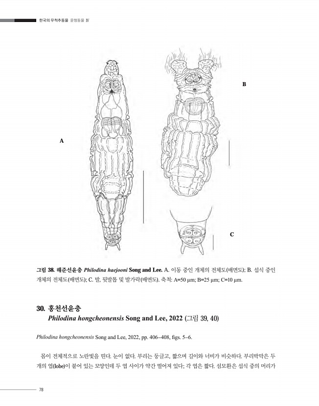 78페이지