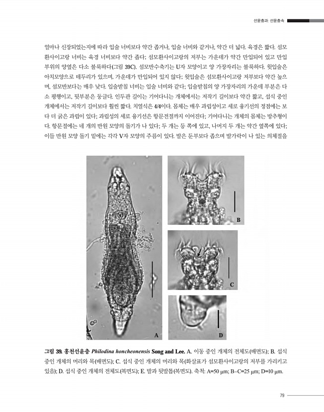 79페이지