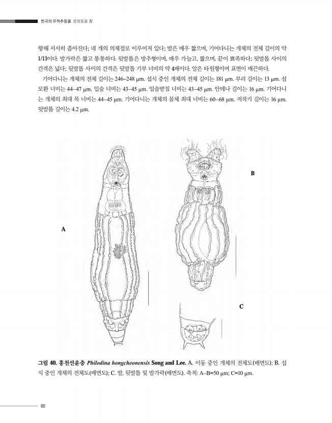 80페이지