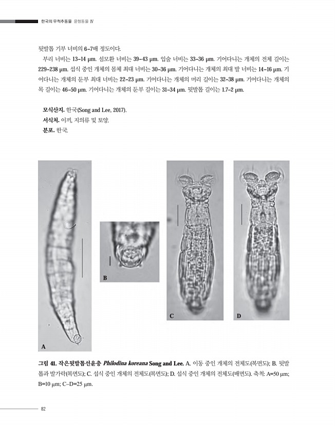 82페이지