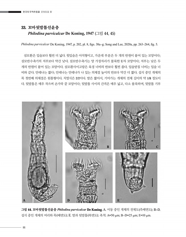 86페이지