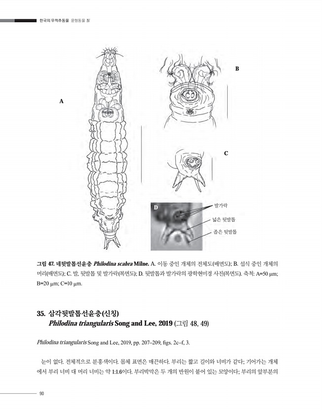 90페이지