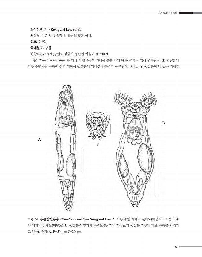 95페이지