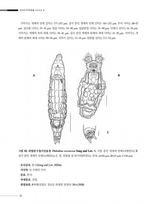 98페이지