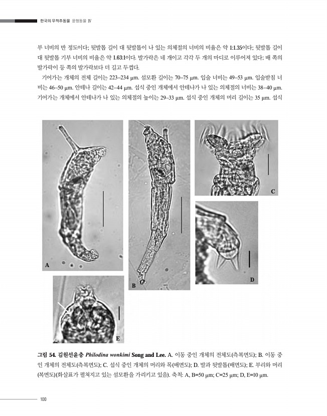 100페이지