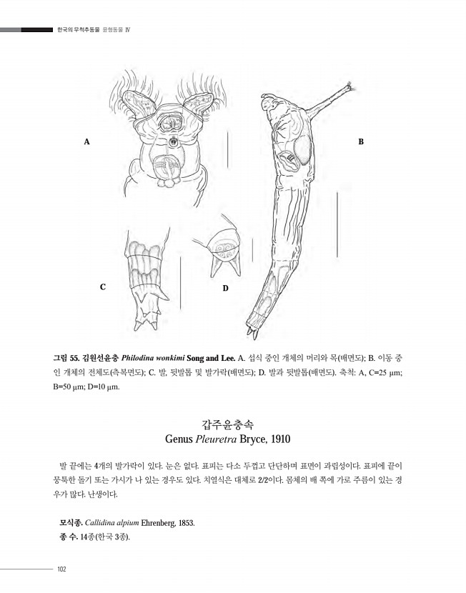 102페이지