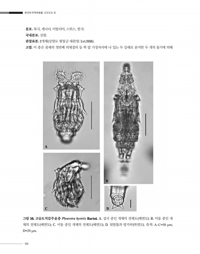 104페이지