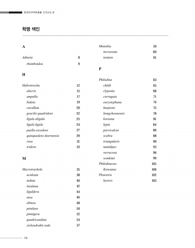 116페이지