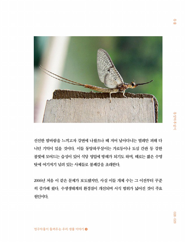23페이지
