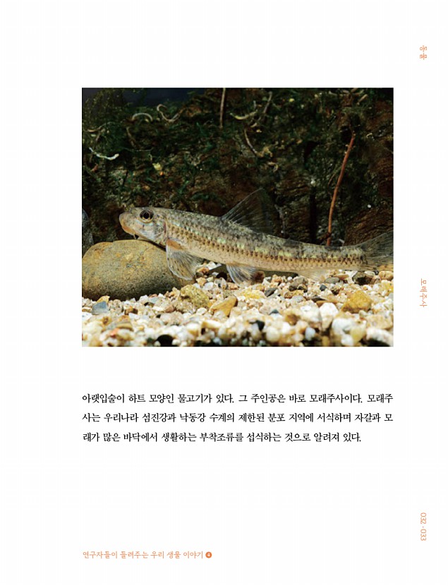27페이지
