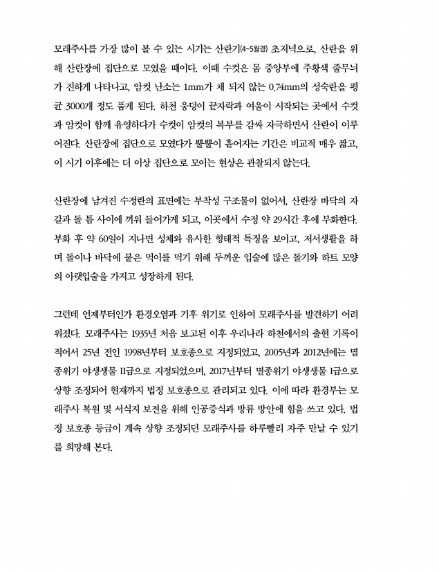 28페이지