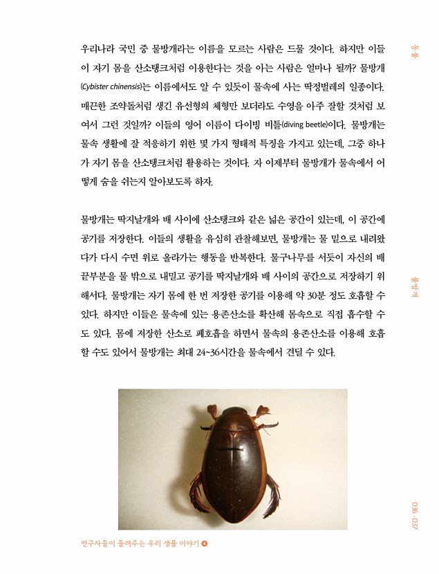 31페이지