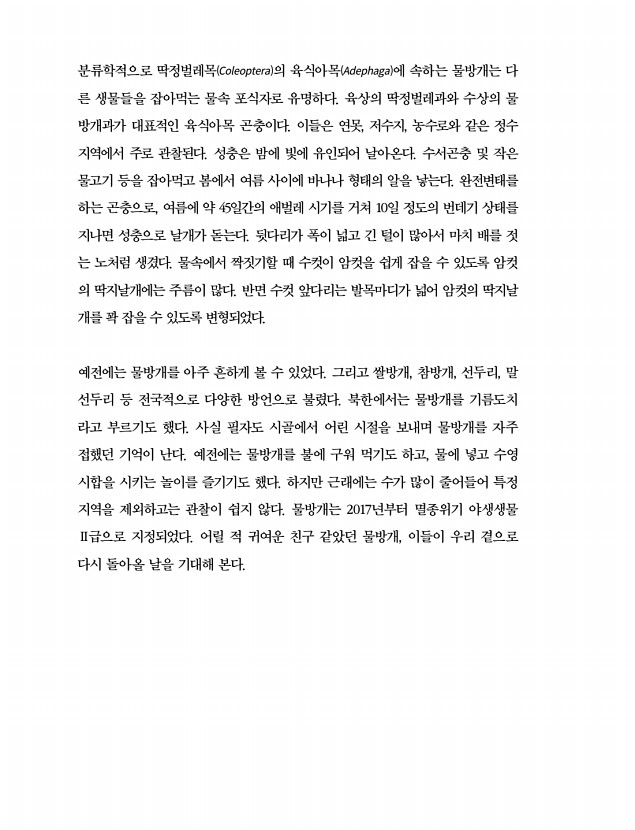 32페이지