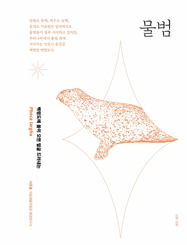 33페이지