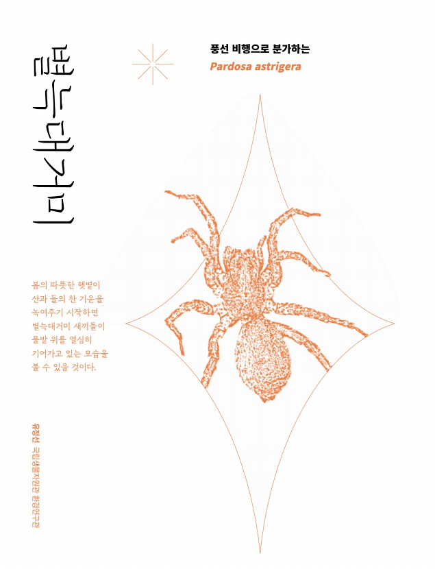 36페이지