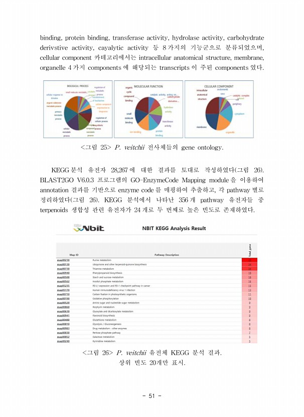 51페이지