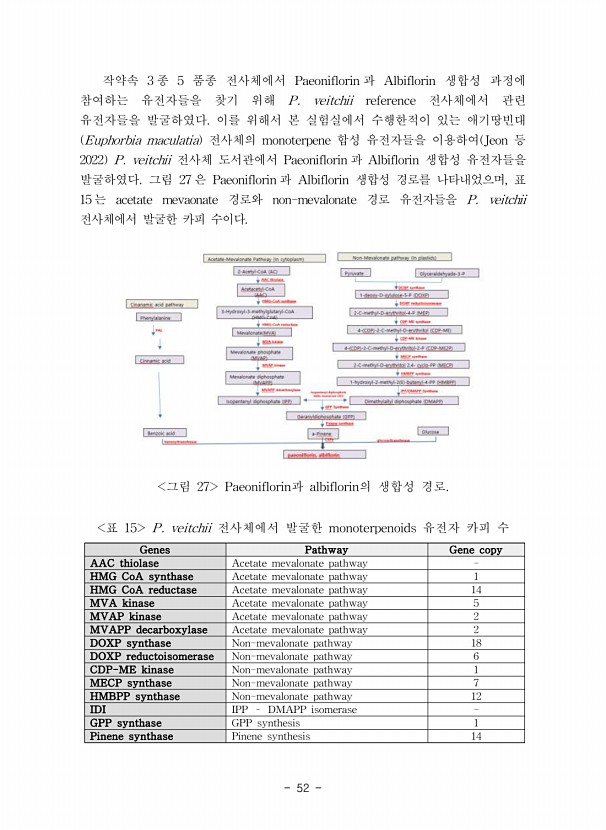 52페이지