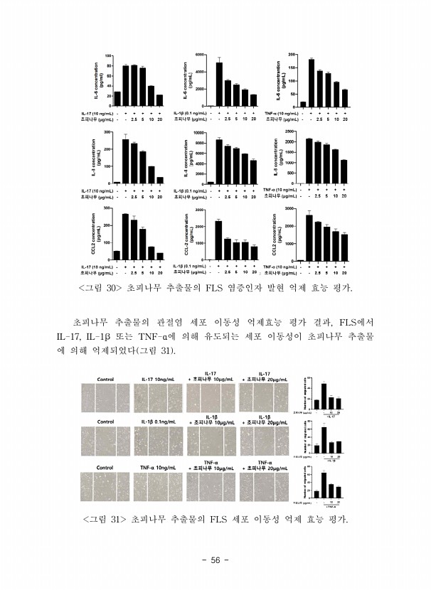 56페이지