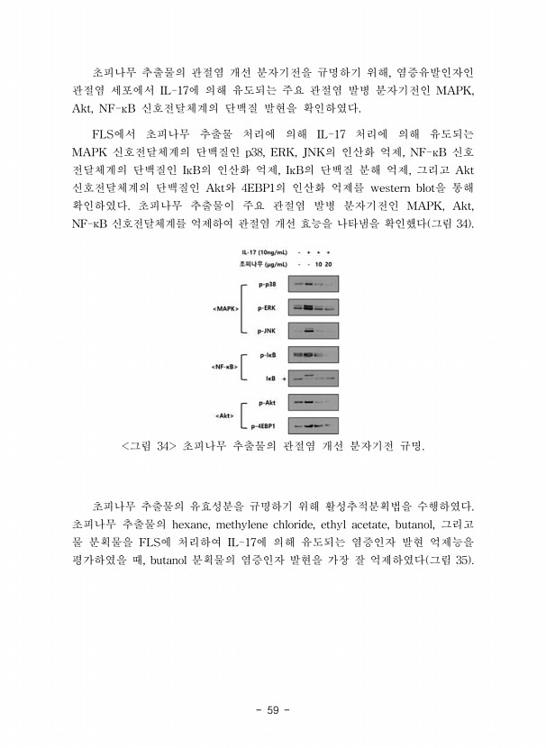 59페이지