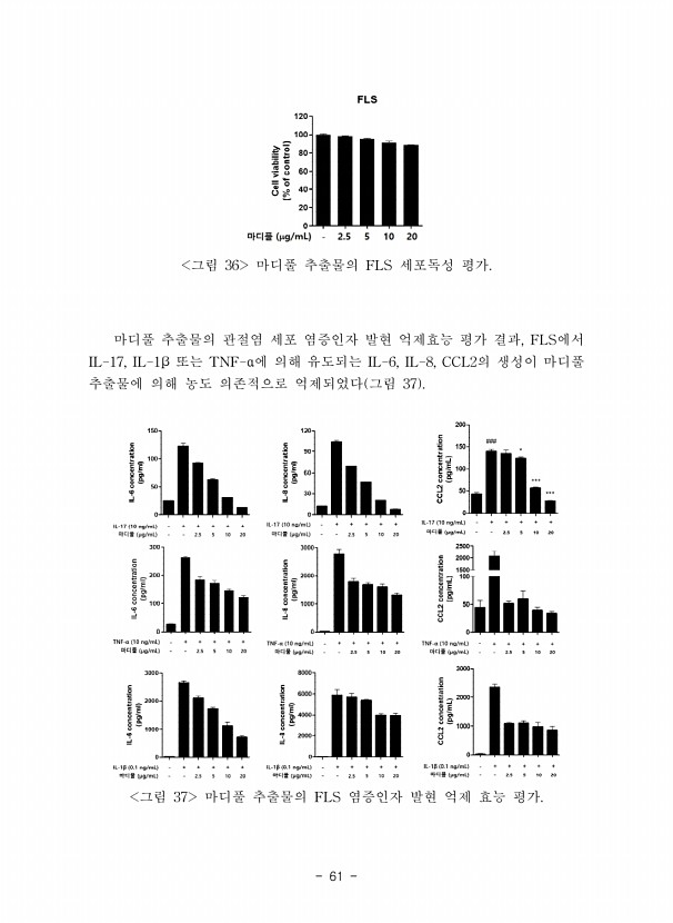 61페이지