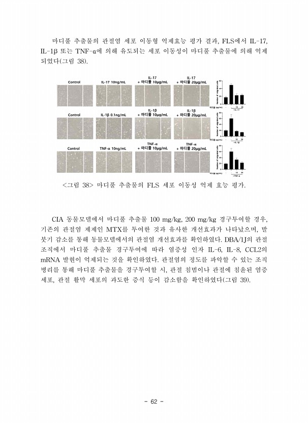 62페이지