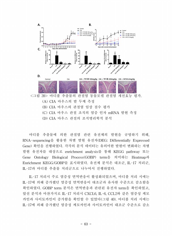 63페이지