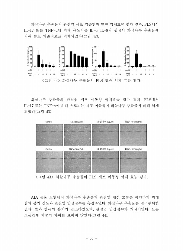 65페이지