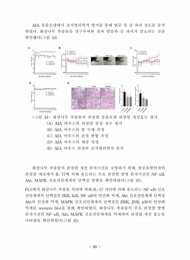 66페이지