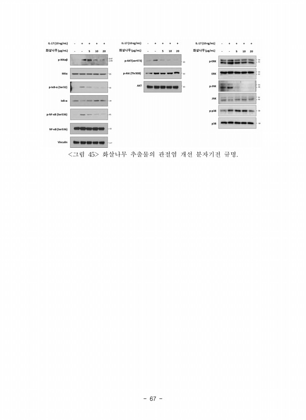 67페이지