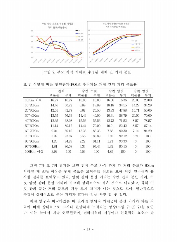 13페이지