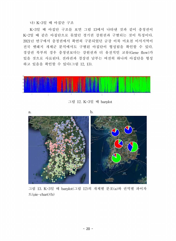20페이지