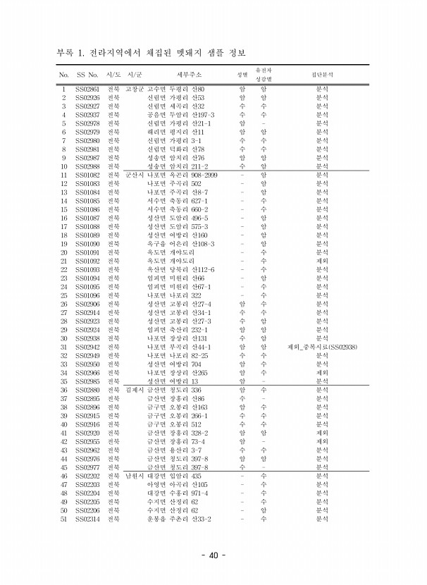 40페이지