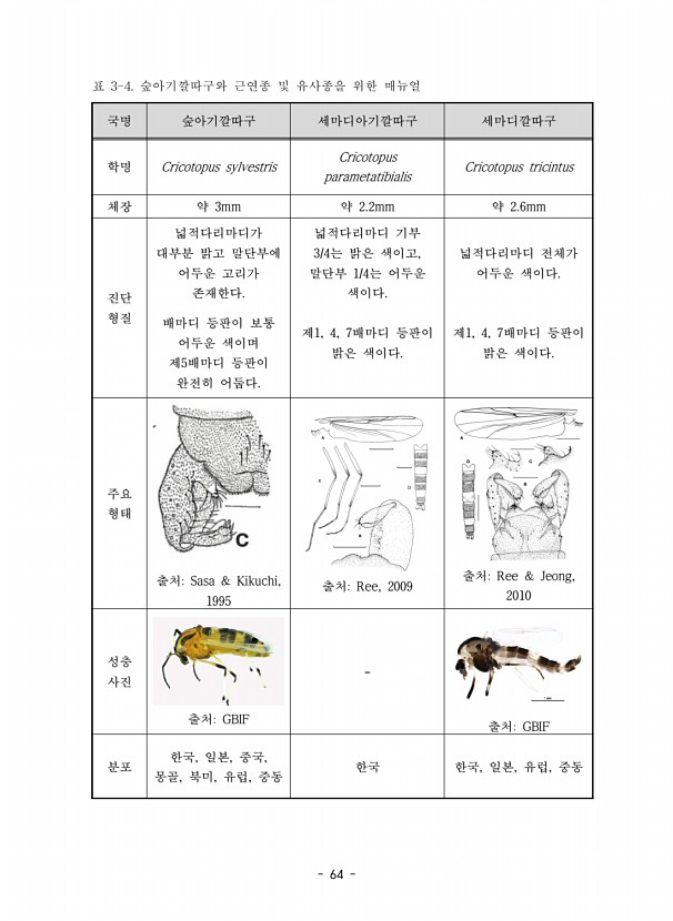 64페이지