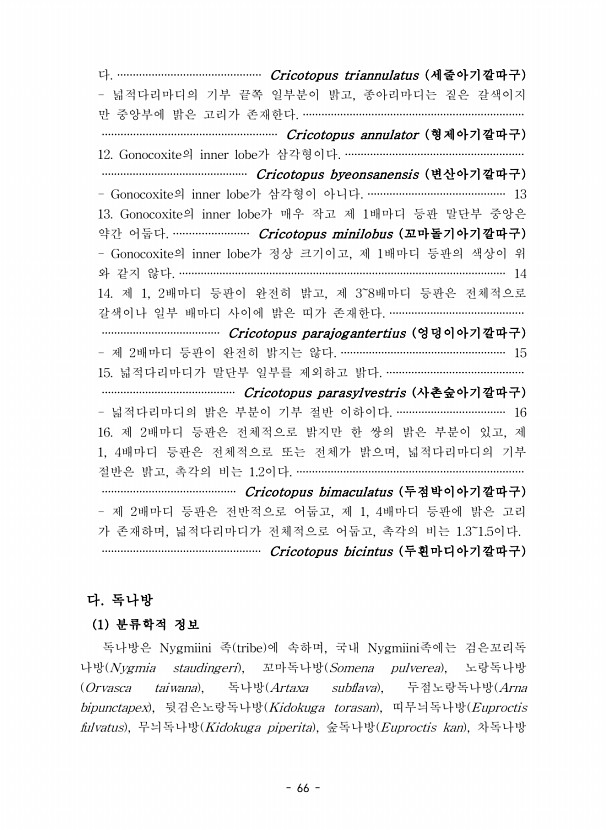 66페이지