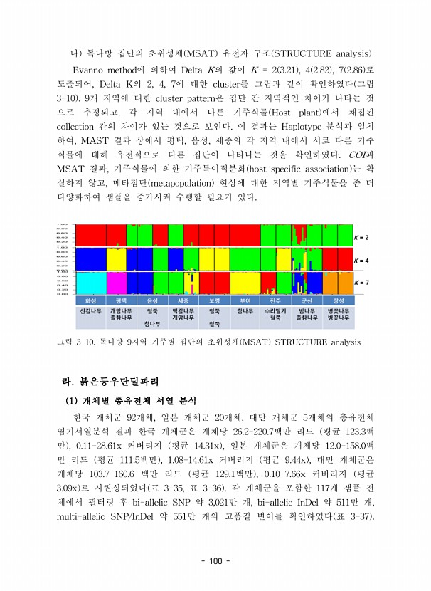 100페이지