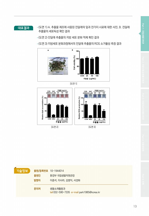 13페이지